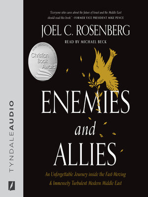 cover image of Enemies and Allies